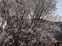 -北京明城墙遗址公园