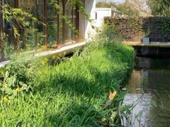 -前小桔亲子创意农场·草莓采摘·露营烧烤