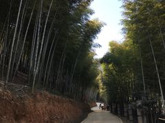 -天目湖御水温泉·度假酒店