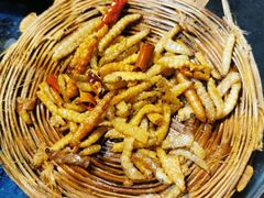 -昆虫窝子·特色云南菜(拓东路总店)