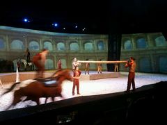 -cavalia·舞马