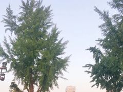 -大雁塔北广场音乐喷泉