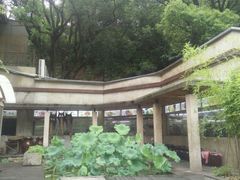 -天怡·鱼工厂(梅溪湖店)
