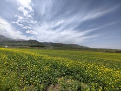 -扁都口生态休闲旅游区