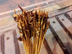 鱿鱼嘴-十里铺铁板鱿鱼