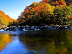 -光雾山旅游景区