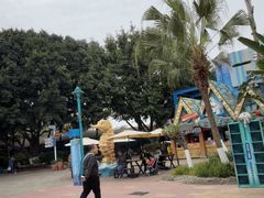 -海合安成都极地海洋公园