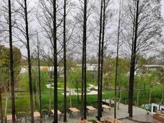 -前小桔亲子创意农场·草莓采摘·露营烧烤