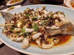 豆豉蒸鲟龙鱼-都市阳光海鲜城(青山湖店)