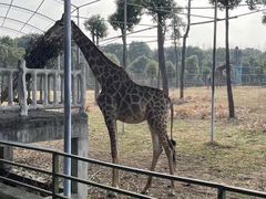 -常州淹城野生动物世界