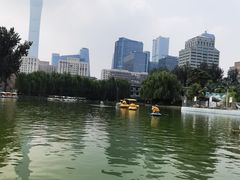 -团结湖公园