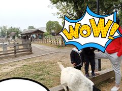 -田园东方蜜桃村的田野营地