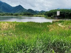 -大九湖