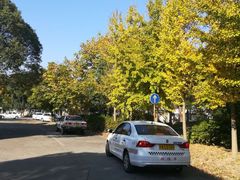 -胜华驾校·小猫学车(银都店)