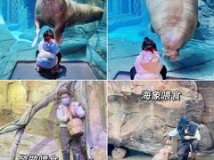 -波塞冬旅游度假区