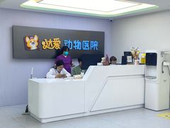 -达爱动物医院·犬猫分区·CT·复杂眼科(远洋山水分院)
