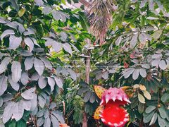 -沈阳植物园