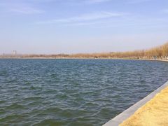 -象湖生态湿地公园