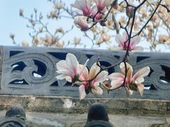 -长春观斋补堂素菜馆