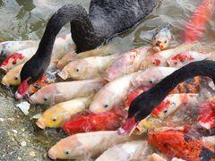 -艾溪湖湿地公园