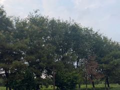 -汉长安城未央宫国家考古遗址公园