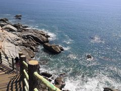 -广东惠东海龟国家级自然保护区