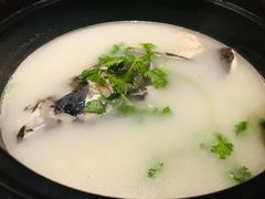 千岛湖鱼头浓汤-魁鱼馆·千岛湖金陵山水啤酒温泉酒店