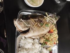 -中关村生命科学园