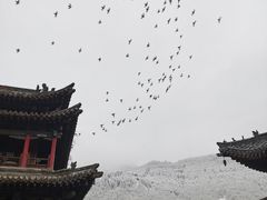 -五台山风景名胜区