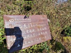 -武陵山森林公园