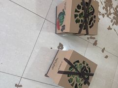 -南汇水蜜桃采摘(大团店)