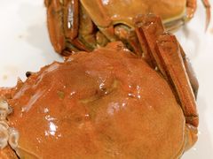 -赤甲皇(仙霞路店)