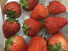 -百果园PAGODA(应元路店)