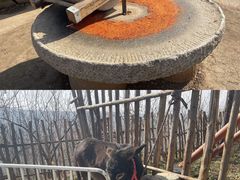 -白鹿原影视城