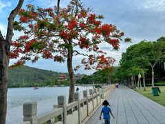 -顺峰山公园