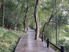 -天目湖山水园