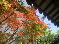 -嘉定博物馆