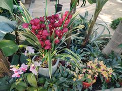 -国家植物园南园