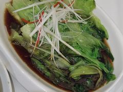 白灼罗马生菜-金春禧(世茂国际广场店)