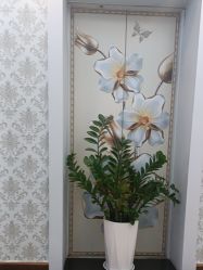 -武汉五洲整形外科医院