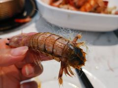 -半岛听涛蒸汽海鲜自助(K11店)