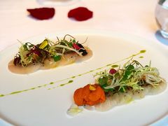 -蝶舍·MAISON PAPILLON