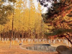 -艾溪湖湿地公园