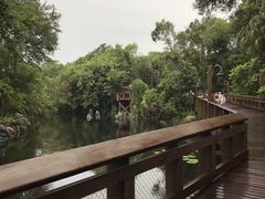 -奥兰多迪士尼动物王国乐园