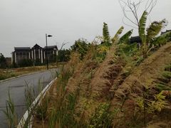 -清远熹乐谷温泉度假酒店