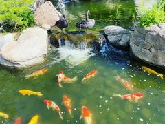 -罗红摄影艺术馆