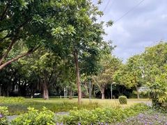 -晓港公园