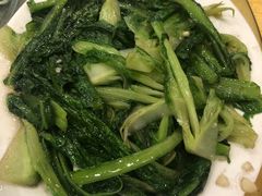 -鸿达渔港