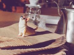 -VOYAGE COFFEE(北锣鼓巷店)