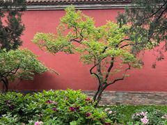 -北京市劳动人民文化宫(太庙)